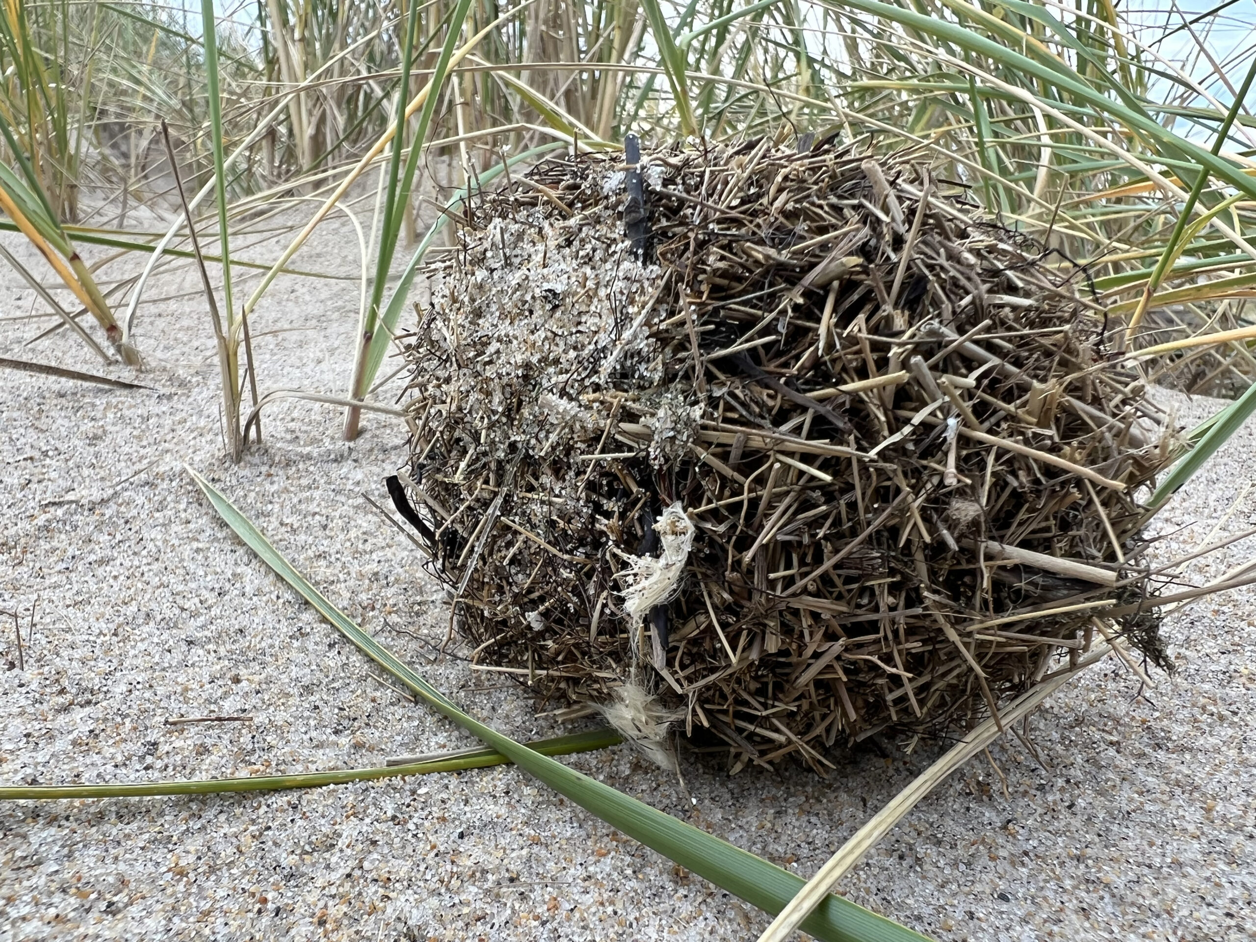 Tangle Ball - Art & Words